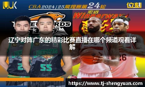 辽宁对阵广东的精彩比赛直播在哪个频道观看详解