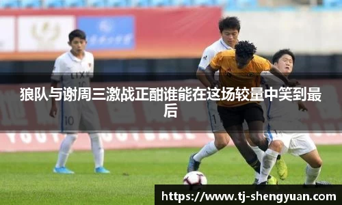 狼队与谢周三激战正酣谁能在这场较量中笑到最后