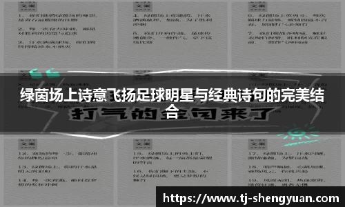 绿茵场上诗意飞扬足球明星与经典诗句的完美结合